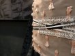 画像2: 2019秋冬新作 gle縞帯留【Frozen】 (2)